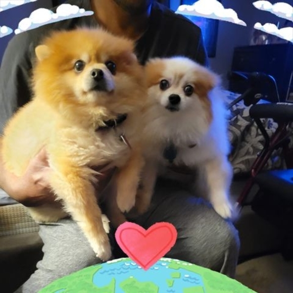 Profile Picture of Johnnie Hutcherson (@jayszee1) on Poshmark