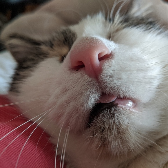 Profile Picture of Lillian Wang (@lwang731) on Poshmark