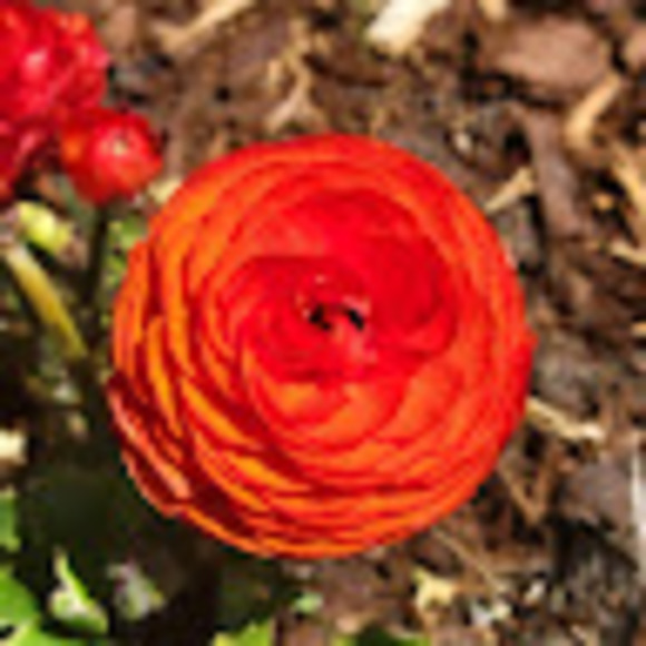 Profile Picture of Skylar Stevens (@mailskylars) on Poshmark