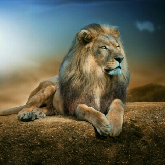 Profile Picture of Donna Mack (@mdonnamarie) on Poshmark