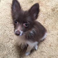 Profile Picture of Jeremy Preston (@jeremy-preston-12) on Quora
