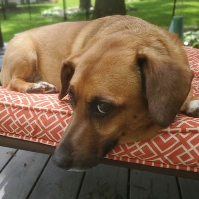 Josh Gierman - Twitter Profile Picture of Josh Gierman (@joshgierman) on Twitter