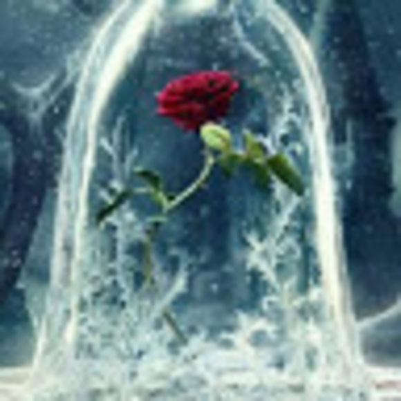 Profile Picture of Roxanne Webber (@sterlingrose93) on Poshmark