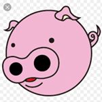 Profile Picture of Andrew Relihan (@pigman1357) on Instagram