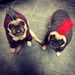 Profile Picture of Bah Humpug (@funaek) on Pinterest