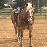 Profile Picture of Nancy Chamberlain (@chamberlain411) on Instagram