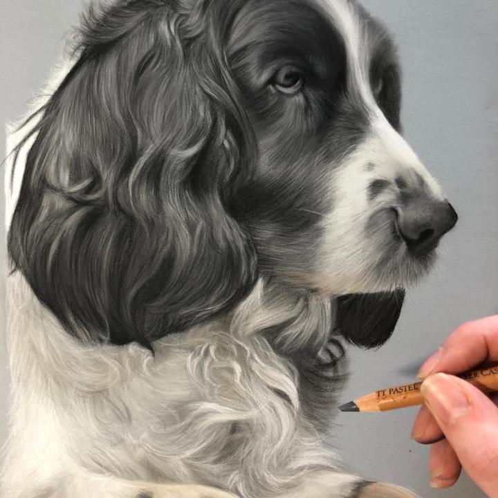 Profile Picture of amy_mckimm_art (@amy_mckimm_art) on Tiktok