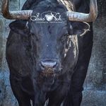 Profile Picture of santos lorenzo pool chi (@santoslorenzopool) on Instagram