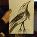 Profile Picture of Zachary Morrison (@zachary.morrison.94695) on Facebook