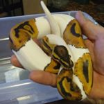 Profile Picture of Matthew Dow Arriaga (@arriagamatthew) on Instagram