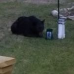 Profile Picture of Raymond Gustafson (@rggustafson) on Instagram