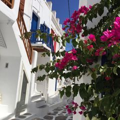 Profile Picture of michaelmartorelli53 (@michaelmartorelli53) on Tiktok