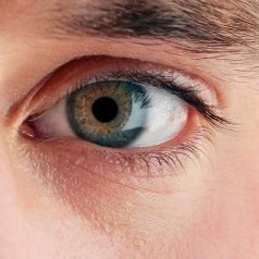 Profile Picture of Bob Adams (@bigdaddy3.14) on Myspace