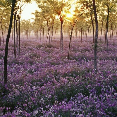 Profile Picture of James Haig (@jhaig29) on Twitter