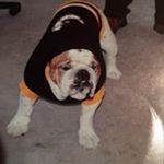 Profile Picture of Scott Bevins (@bevinsscott) on Instagram
