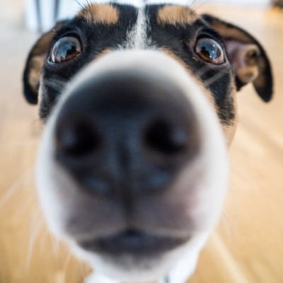 Profile Picture of Tracy_leaf (@tracy_leaf) on Twitter