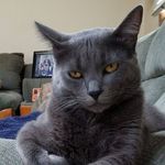 Jeff Lemerand - Instagram Profile Picture of Jeff Lemerand (@lemerandjeff) on Instagram