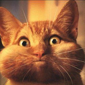 Profile Picture of Mike Hendel (@DROPSL) on Twitter