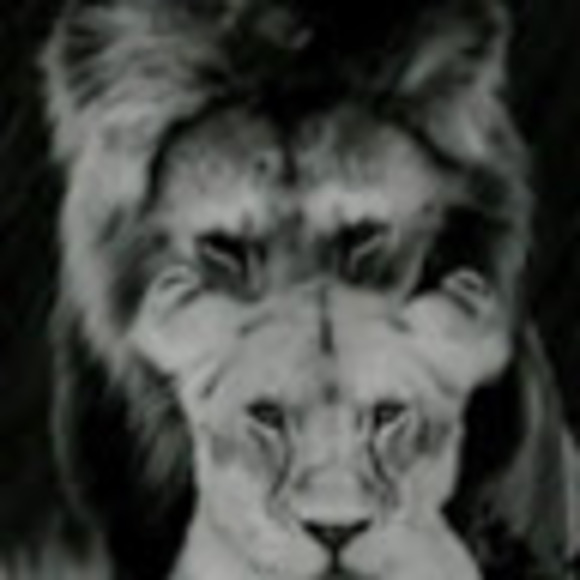 Profile Picture of Rubyroo Carlson (@eriksmom51212) on Poshmark