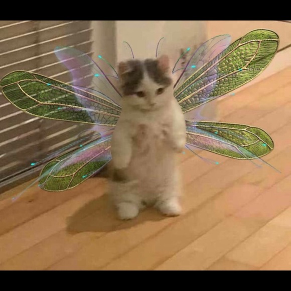 Profile Picture of Luz marina Alonso saenz (@angie_alonsoo) on Poshmark