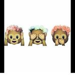 Rayna Adams🌸 - Instagram Profile Picture of Rayna Adams🌸 (@raynaadams_12) on Instagram