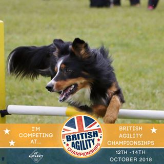 Profile Picture of Carolyn Bartelous (@carolyn.bartelous) on Facebook