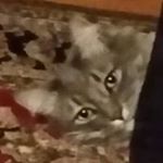 Profile Picture of Marc Hope (@hope_marc) on Instagram