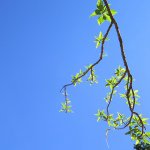 Profile Picture of Joseph Phillips (@josephophillips) on Instagram