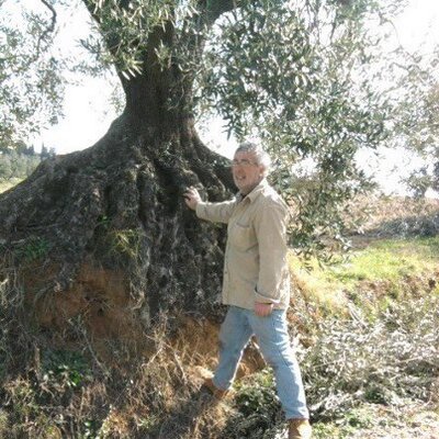 Profile Picture of Cascone Michele (@casconemichele1) on Twitter