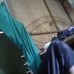 Profile Picture of Tollo (@tollo.tollo.10690) on Facebook