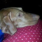 Profile Picture of Kelly Frasolak Bascom (@bascomkelly) on Instagram
