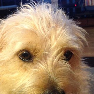 Profile Picture of John Schlosser (@John-Schlosser) on Facebook