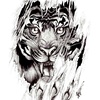 Profile Picture of Daniel siemann (@@russak.daniel) on Tiktok