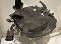 Profile Picture of Henoduson Wikipedia