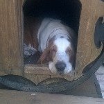 Profile Picture of Elena Bertagna (@elenabertagna1984) on Instagram