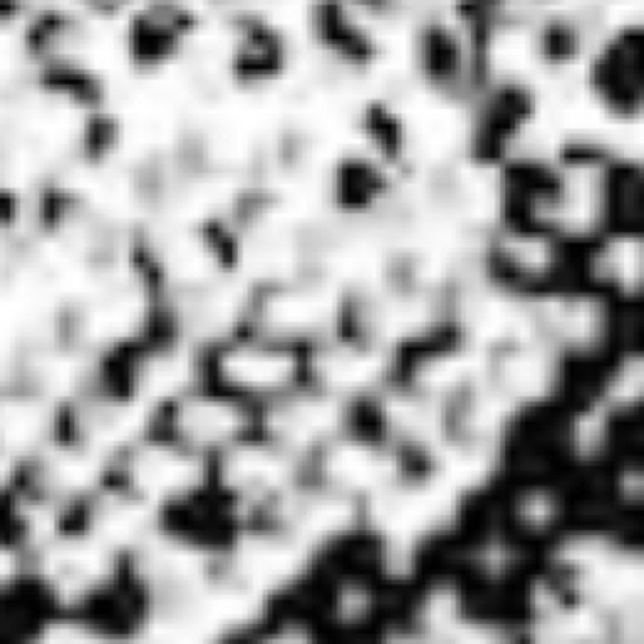 Profile Picture of Kaylee Quinn (@kayleeaquinn) on Poshmark