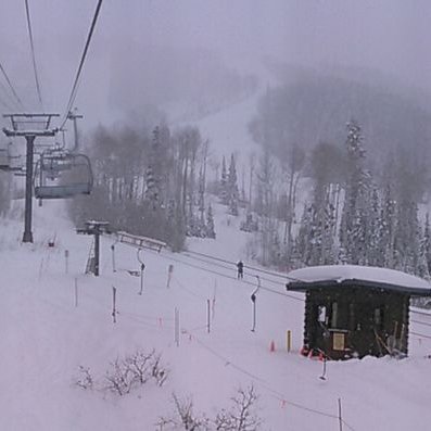 Profile Picture of Cris Womack (@MackWo) on Twitter