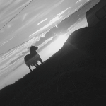 Profile Picture of Sammy Reid (@sammyreid100) on Twitter