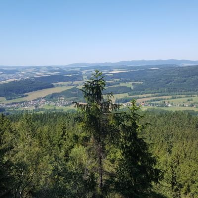 Profile Picture of A B (@AdamBorowski2) on Twitter