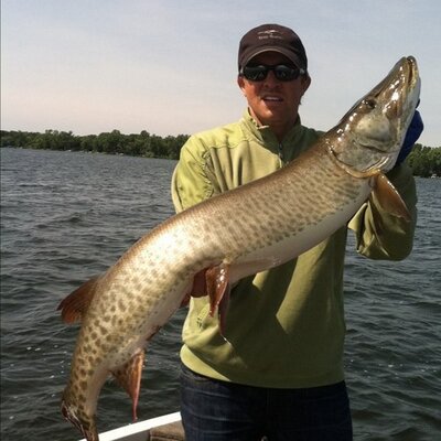 Profile Picture of Dave Bonk (@DaveBonk) on Twitter