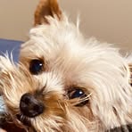 Eileen Cairns - Facebook Profile Picture of Eileen Cairns (@eileen.cairns.2025) on Facebook