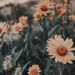 Profile Picture of Ashwaq Alharbi (@Silent_seasons) on Pinterest
