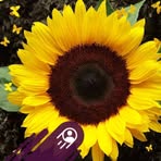 Profile Picture of Glen Chase (@glen.chase.2025) on Facebook