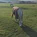 Profile Picture of Joanne Greenwood (@joanne.greenwood.3323) on Facebook