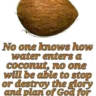 Profile Picture of Steven Avong Boman (@BomanAvong) on Twitter