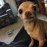 Profile Picture of David Reckner (@crosspoint69) on Instagram