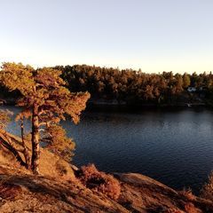 Profile Picture of robertvildmark (@robertvildmark) on Tiktok