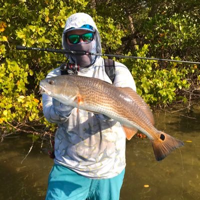 Profile Picture of pete luce  🐍 (@pete_luce) on Twitter