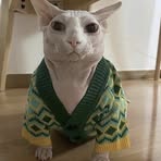 Profile Picture of Lawli Craft (@LawliTwo) on Facebook