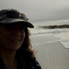 Profile Picture of Tamara Andersen (@TamaraAndersen4) on Twitter